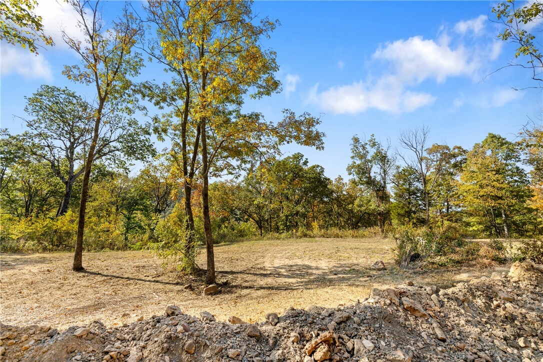 Property Photo:  Lot 33 Peaceful Place  AR 72601 