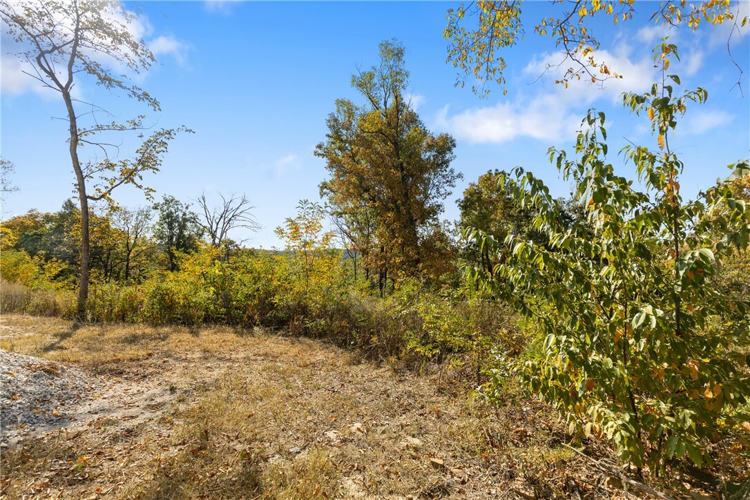 Property Photo:  Lot 28 Peaceful Place  AR 72601 