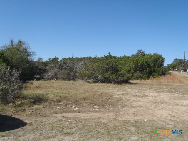 Property Photo:  1345 Live Oak Dr  TX 78070 