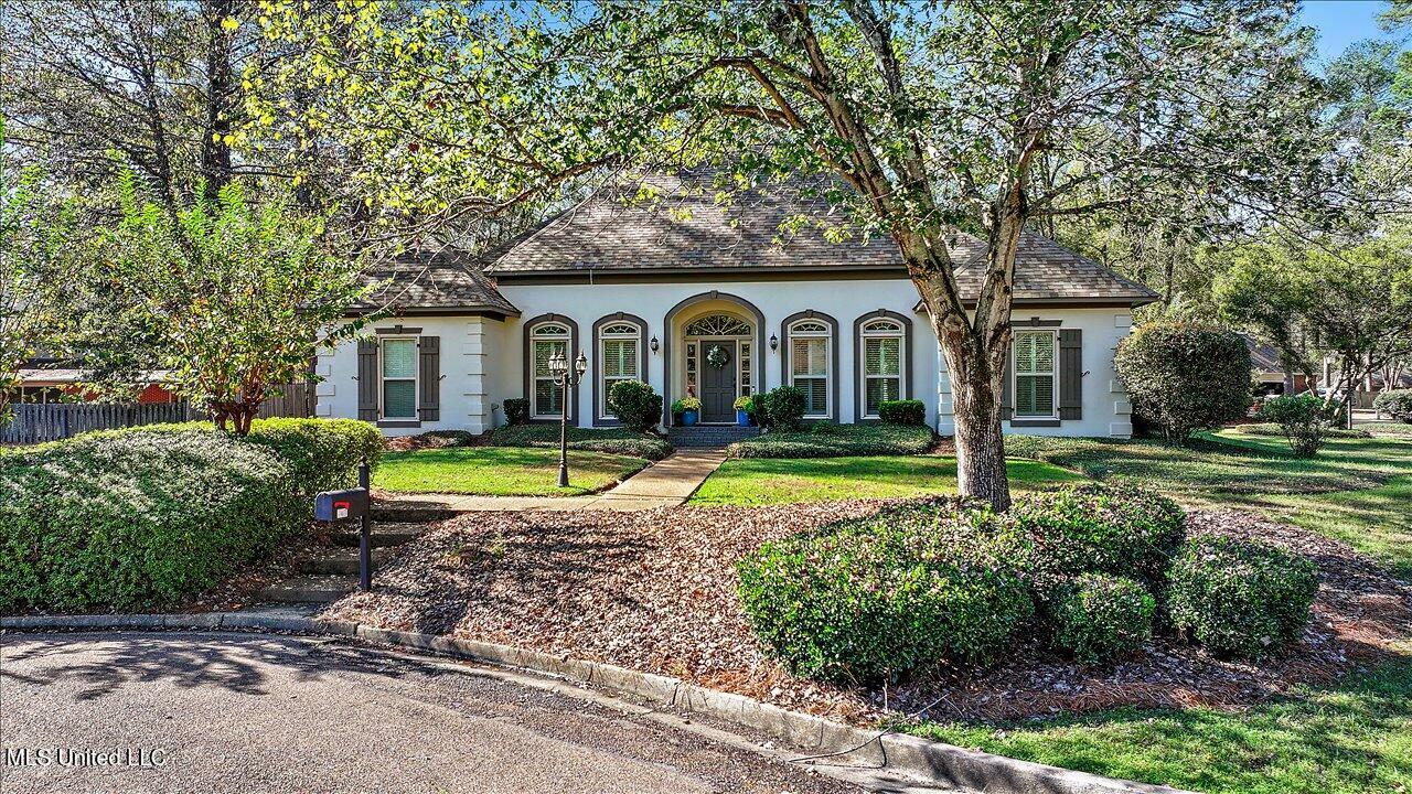 Property Photo: 741 Chelsea Court MS 39110