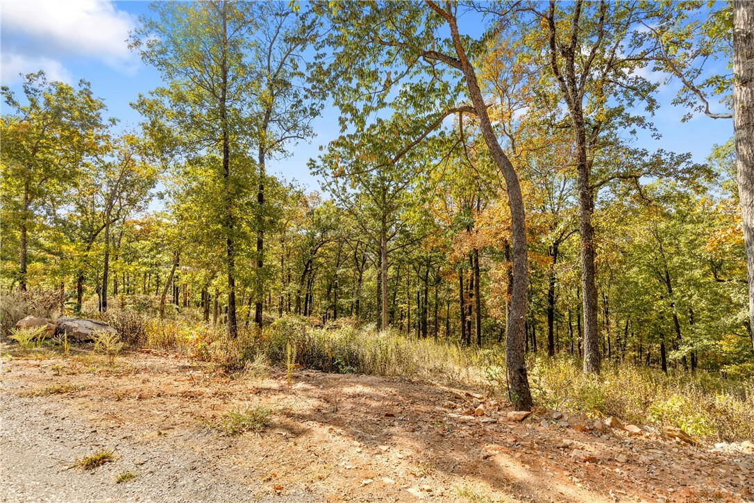 Property Photo:  Lot 69 Restore Ridge  AR 72601 