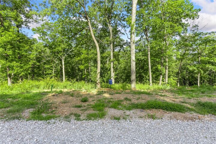 Property Photo: Lot 69 Restore Ridge AR 72601
