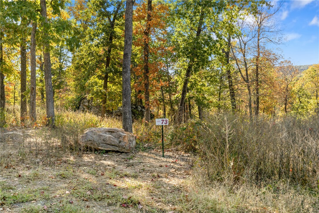 Property Photo:  Lot 73 Restore Ridge  AR 72601 