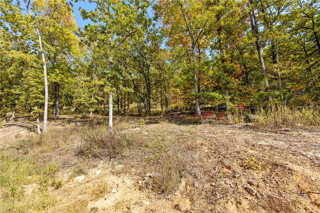 Property Photo:  Lot 63 Restore Ridge  AR 72601 