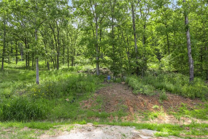 Property Photo: Lot 63 Restore Ridge AR 72601