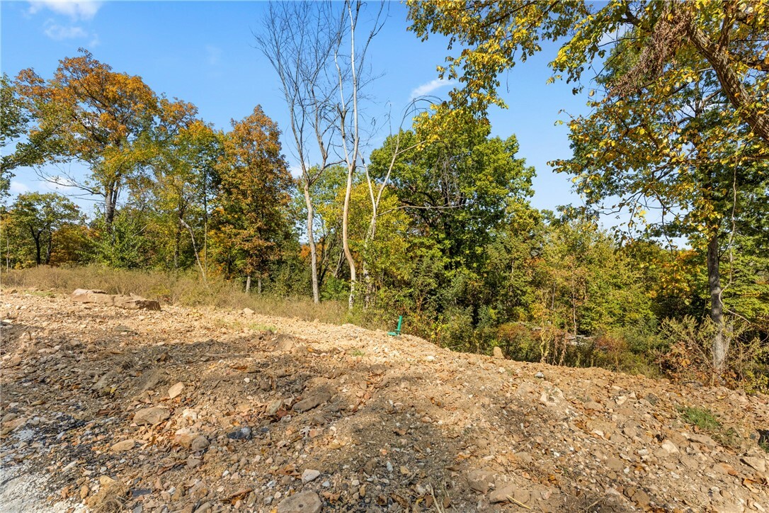 Property Photo:  Lot 90 Restore Circle  AR 72601 