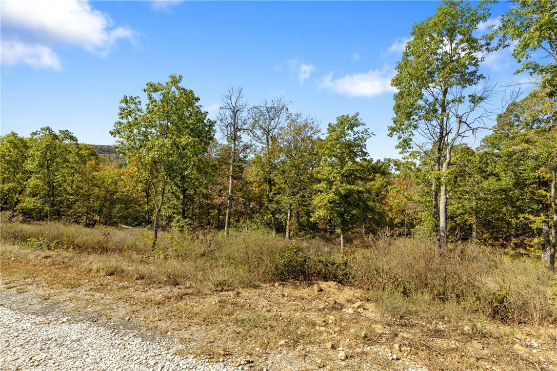 Property Photo:  Lot 83 Restore Ridge  AR 72601 