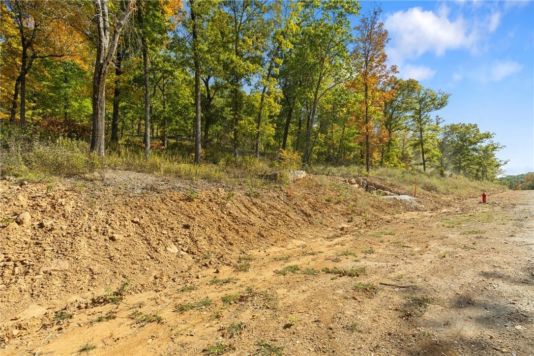 Property Photo:  Lot 59 Restore Ridge  AR 72601 