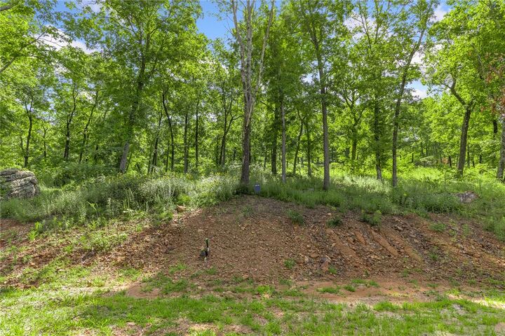 Property Photo: Lot 59 Restore Ridge AR 72601