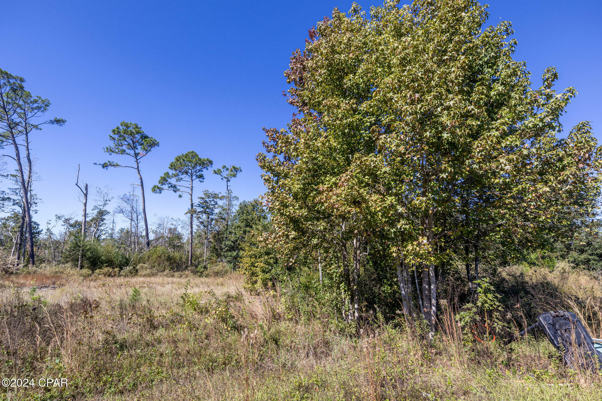 Property Photo:  3706 Deer Run Road  FL 32409 