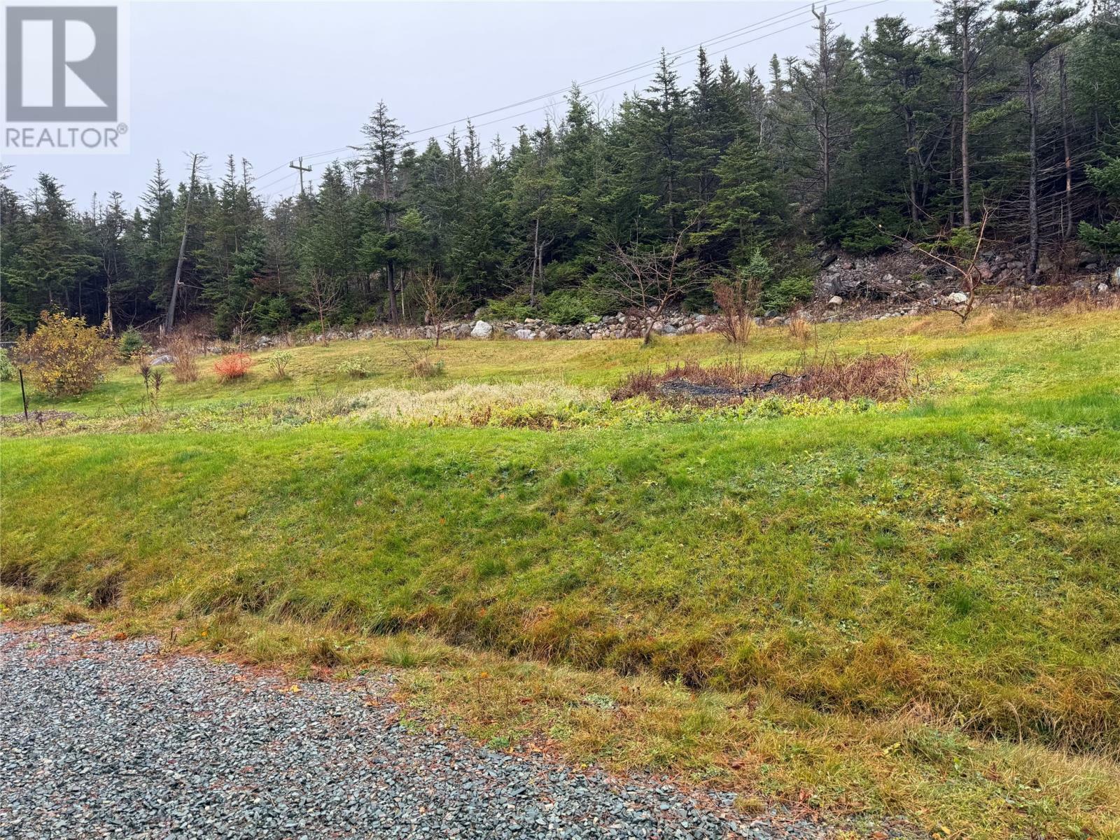 173 Monument Road  Topsail, Conception Bay South NL A1W 2B4 photo