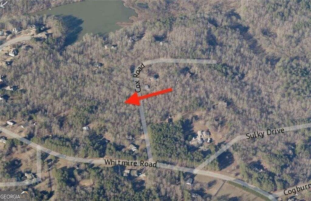 Property Photo:  0 Cox Road, Tract 12  GA 30028 