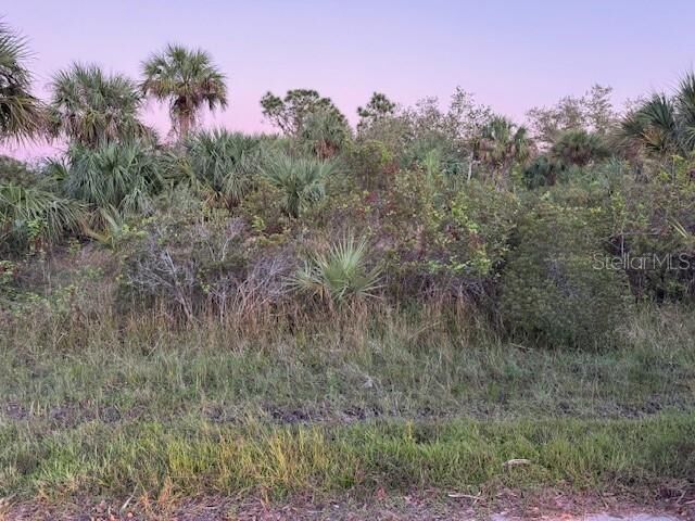 Property Photo: 2106 Rickover Street FL 33953