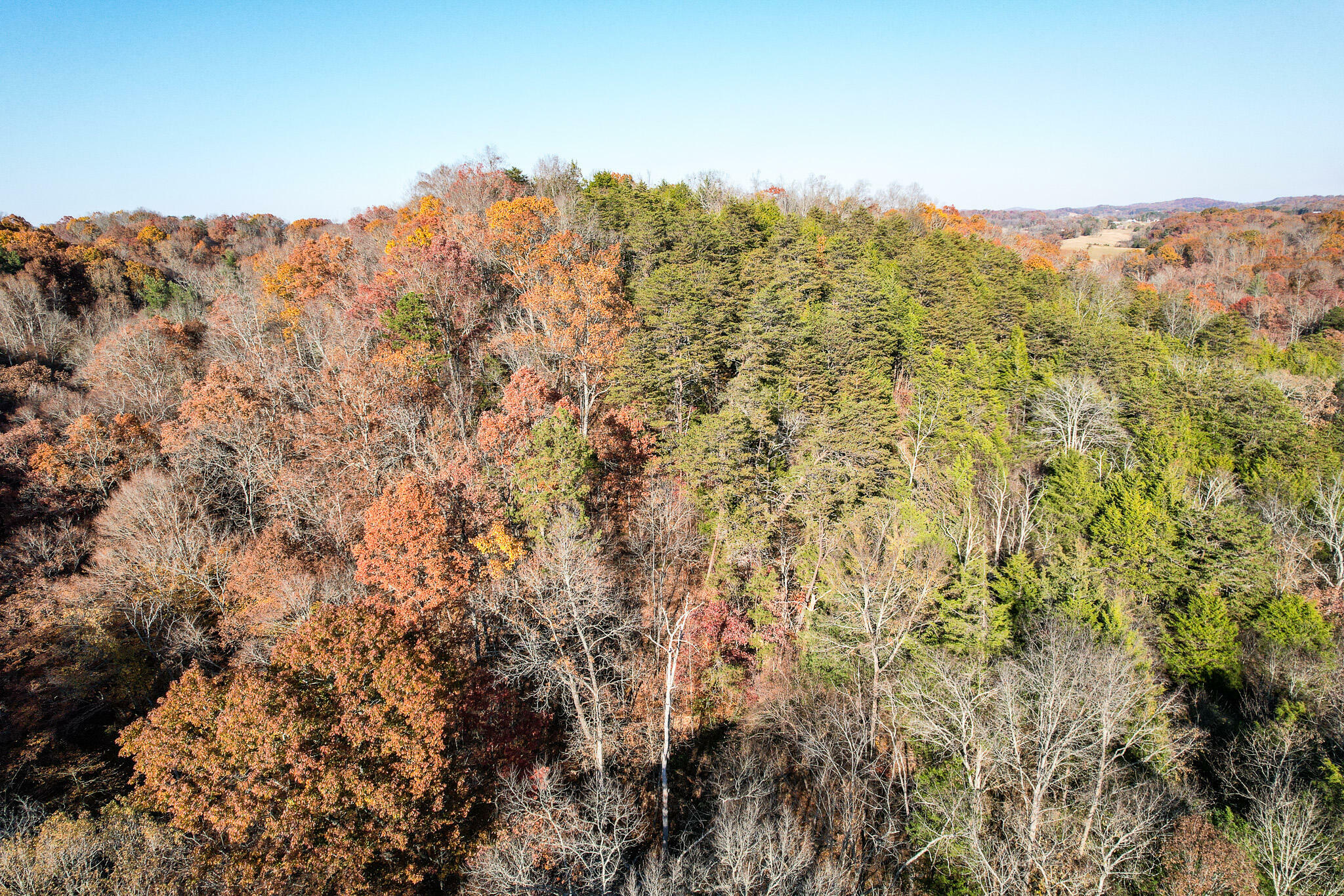 Property Photo:  0 Poplar Springs Road  TN 37743 