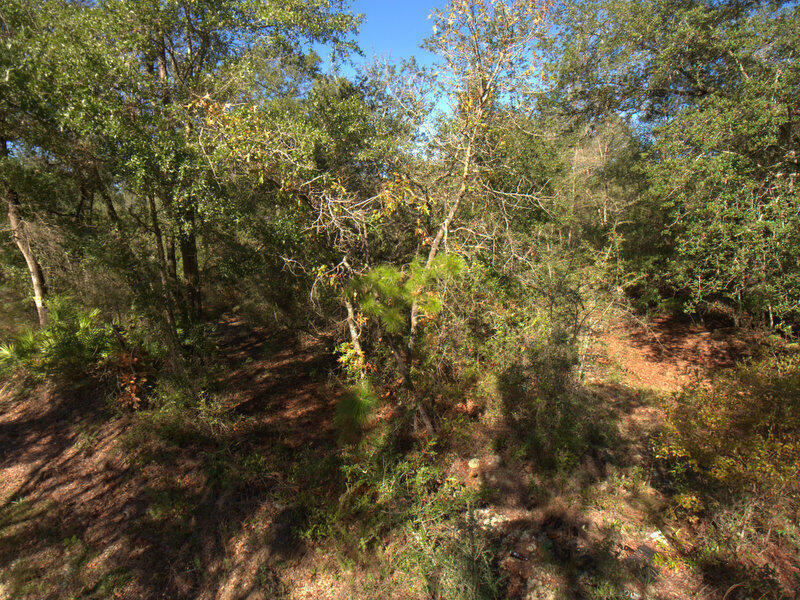 Property Photo:  13A Wiggins Road  FL 32564 