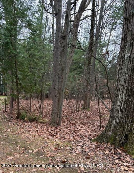 Property Photo:  32 Deer Run Drive  MI 48703 