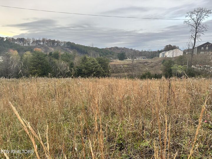Property Photo:  +-1.72 Ac Highway 92  TN 37725 