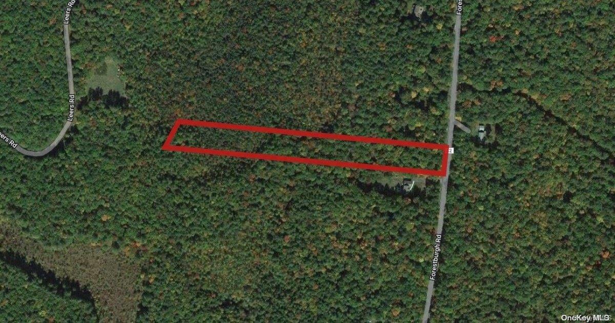 Property Photo:  0 Forestburgh Road  NY 12737 