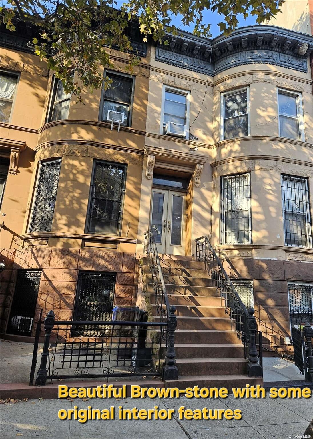 Property Photo:  707 Macon Street  NY 11233 