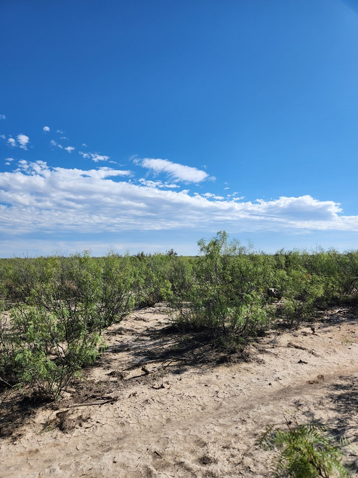 Property Photo: Tbd 7 Mile Rd TX 79743
