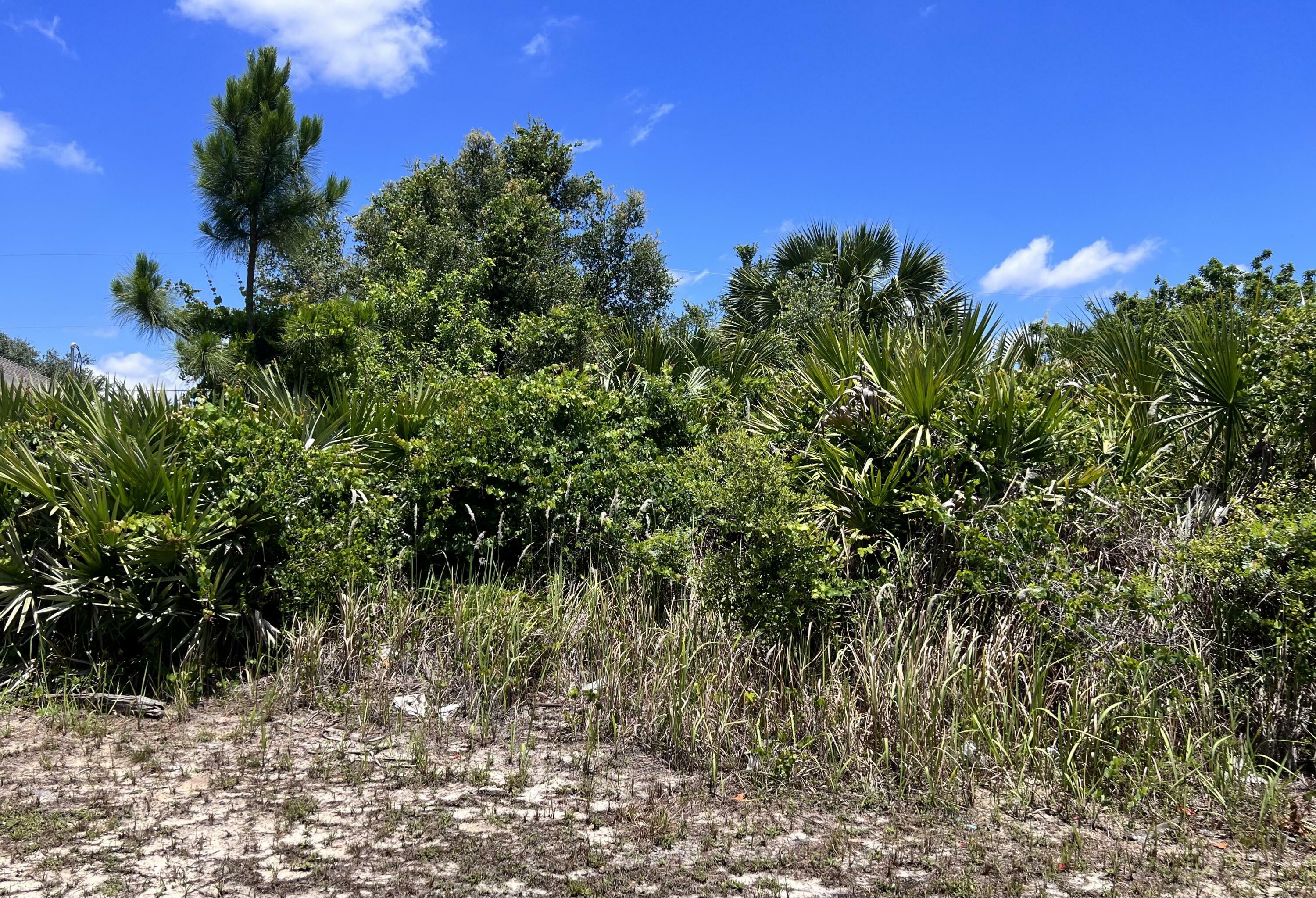 Property Photo:  27143 Corinthian Drive  FL 33955 