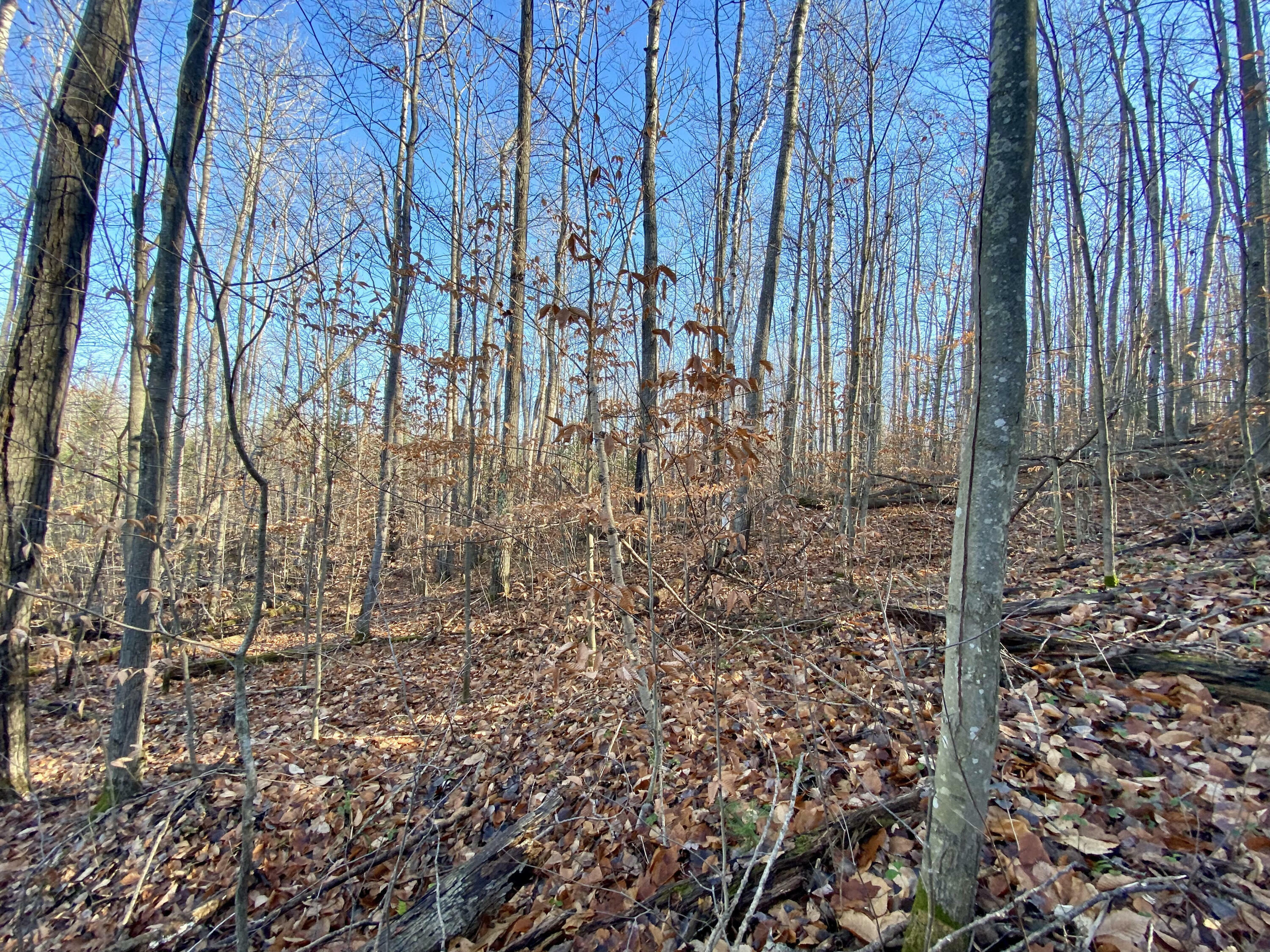 Property Photo:  Lots 36-39 Chemin De La Montagne  MI 49799 