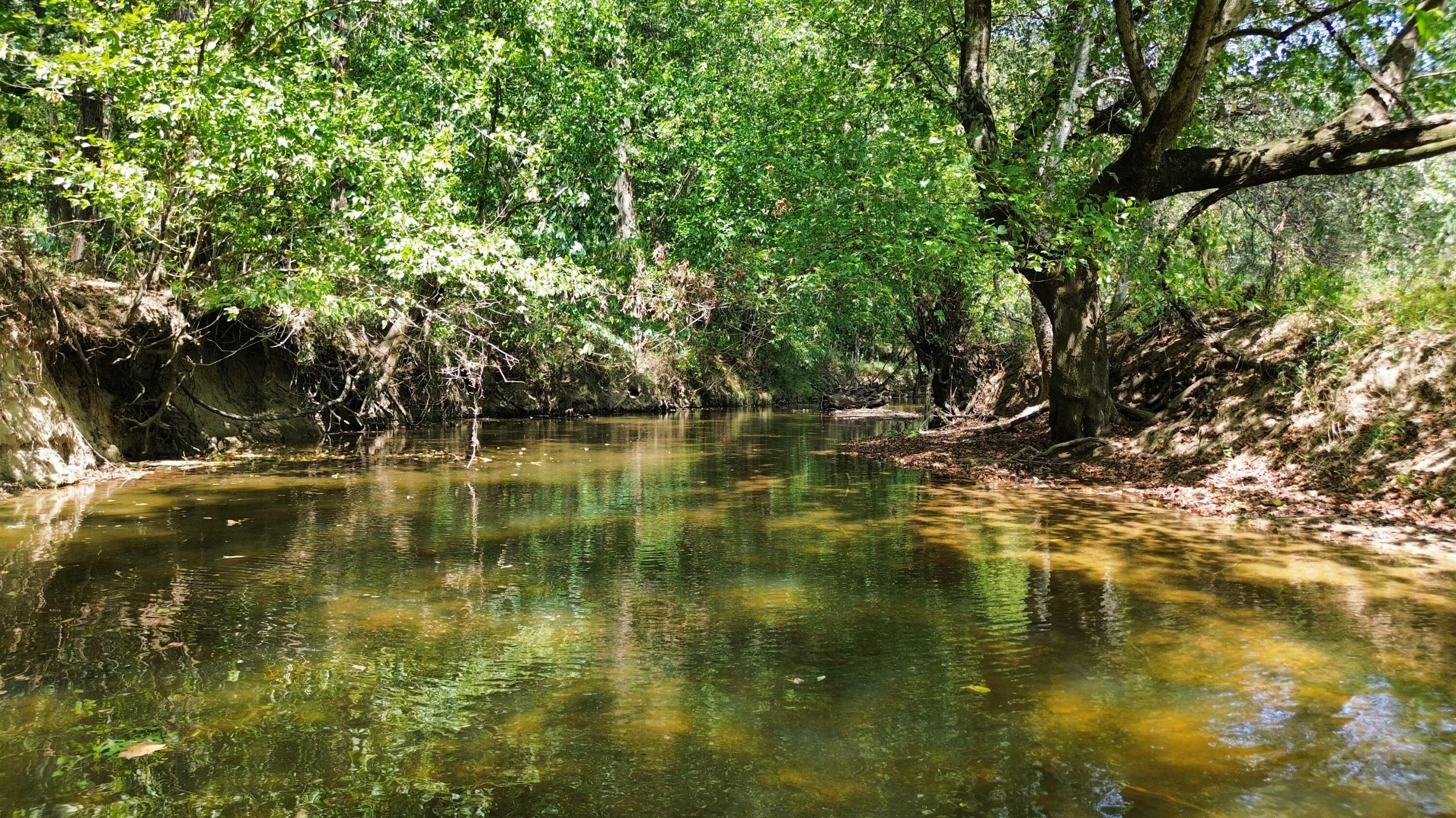 Property Photo:  0 Long Hollow Road S  GA 30728 