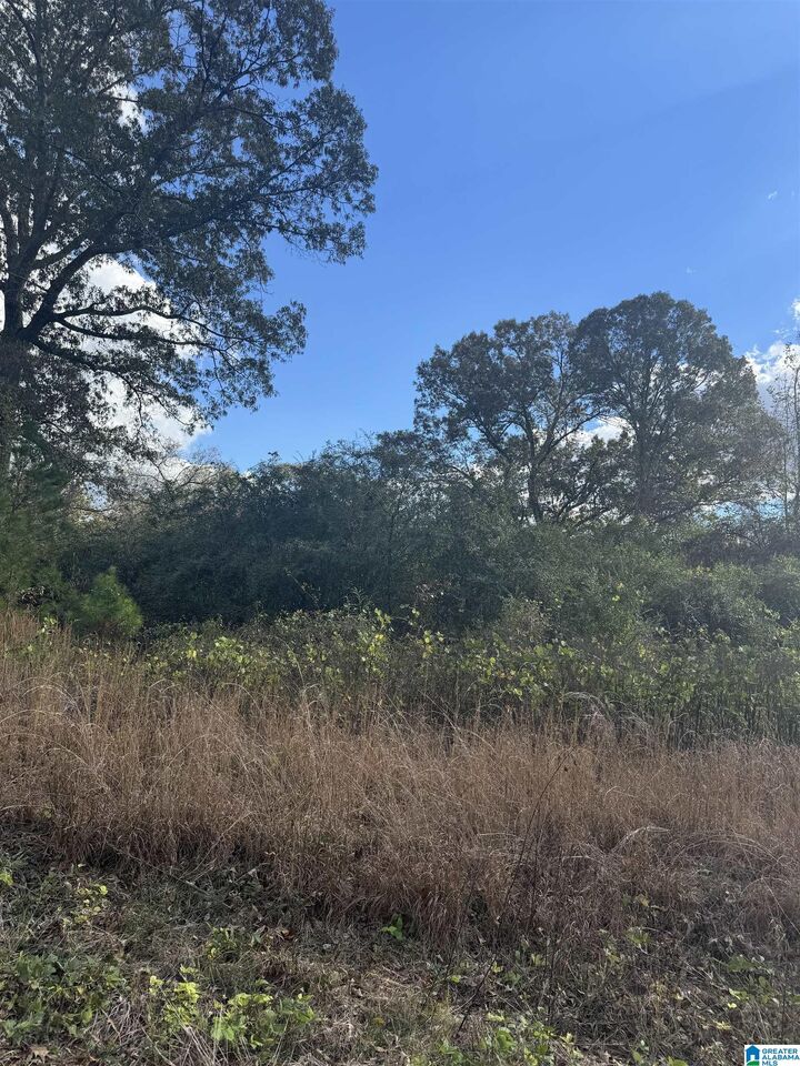 1431 Mardisville Road 0  Talladega AL 35160 photo