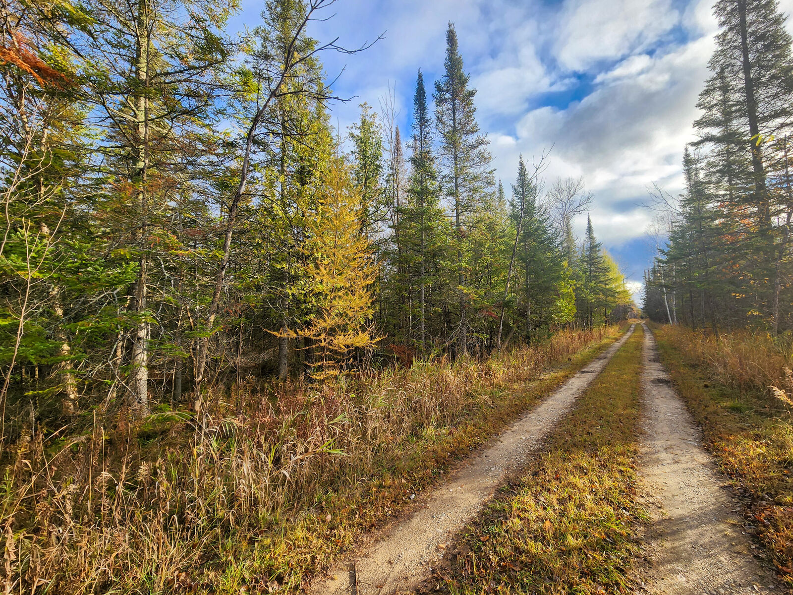 Property Photo: 000 Douglas Road MI 49721