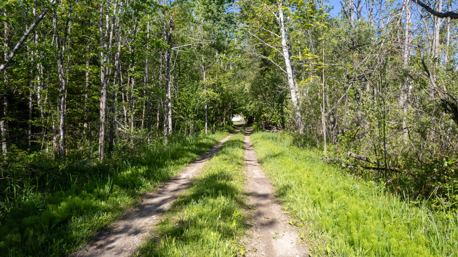 Property Photo: 000 Douglas Road MI 49721