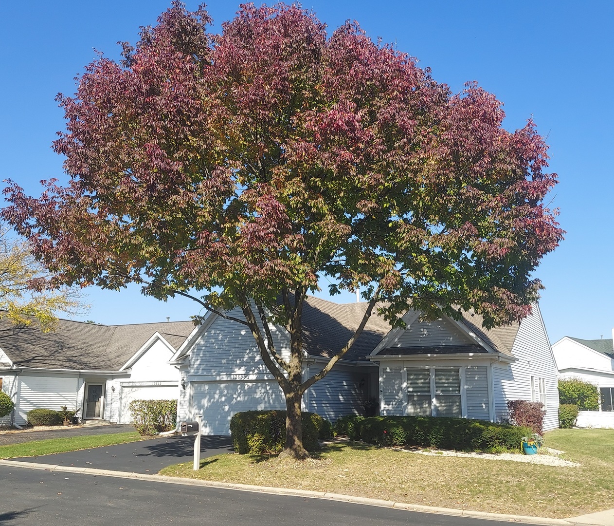 Property Photo:  13633 Redbud Court  IL 60544 