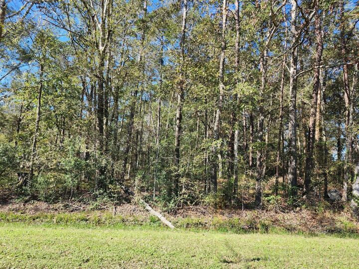 Property Photo:  243 County Road 3662  TX 77372 