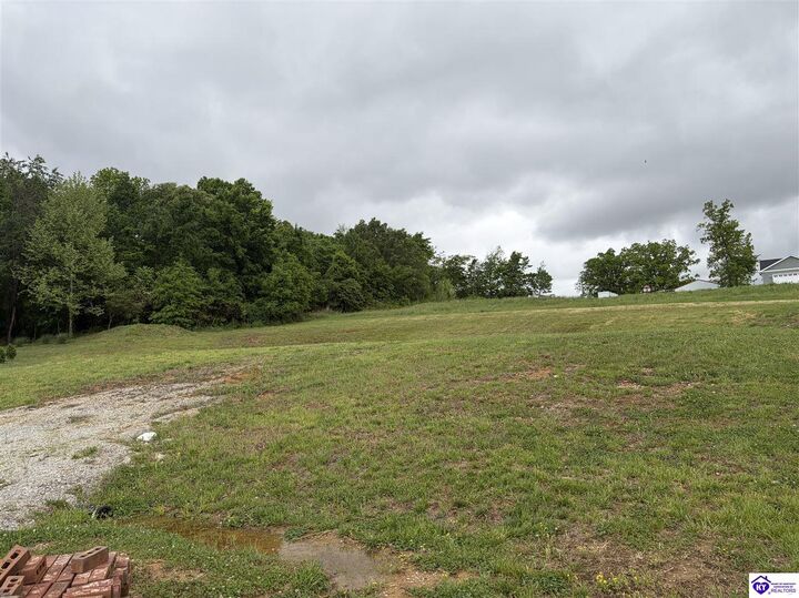 Property Photo: Lot 2G Fountain View Drive KY 42754