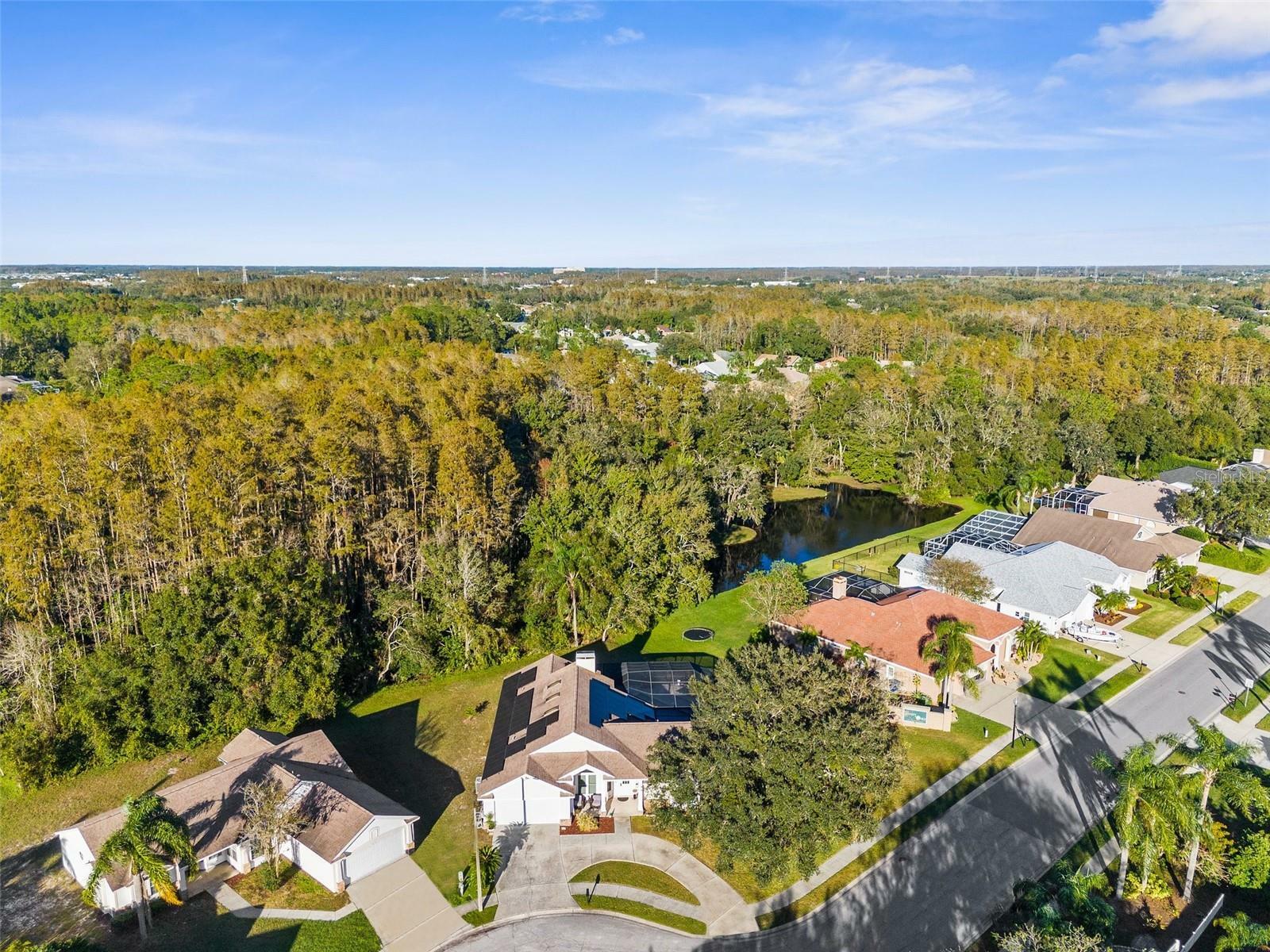 Property Photo: 1249 Mazarion Place FL 34655