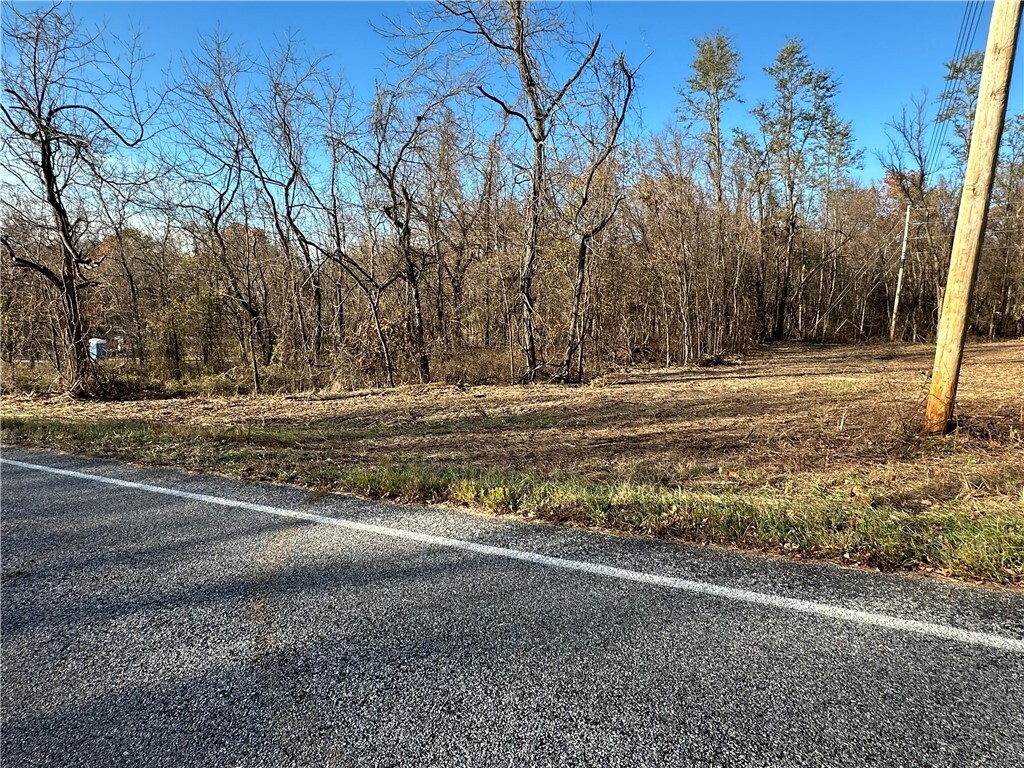 Property Photo:  Posy Mountain Drive  AR 72732 