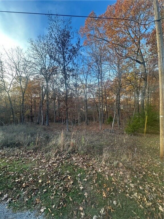 Property Photo:  Islay Drive  AR 72715 