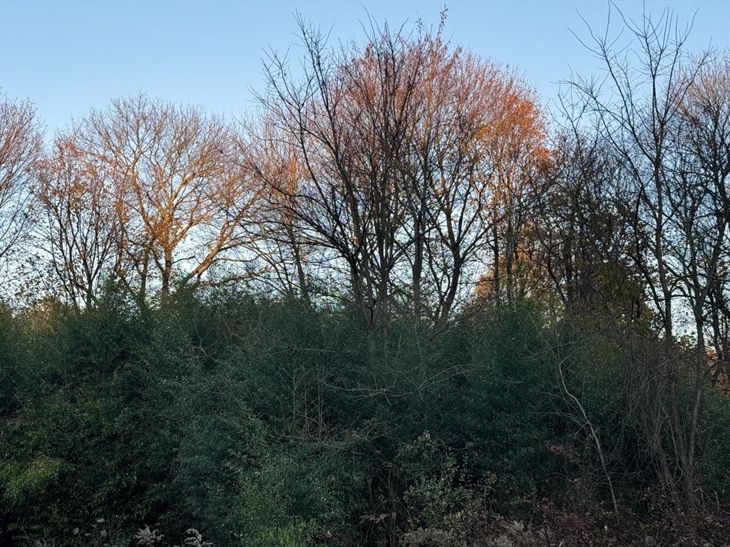 Property Photo:  Lot 8 Lawler Ln  MA 02072 