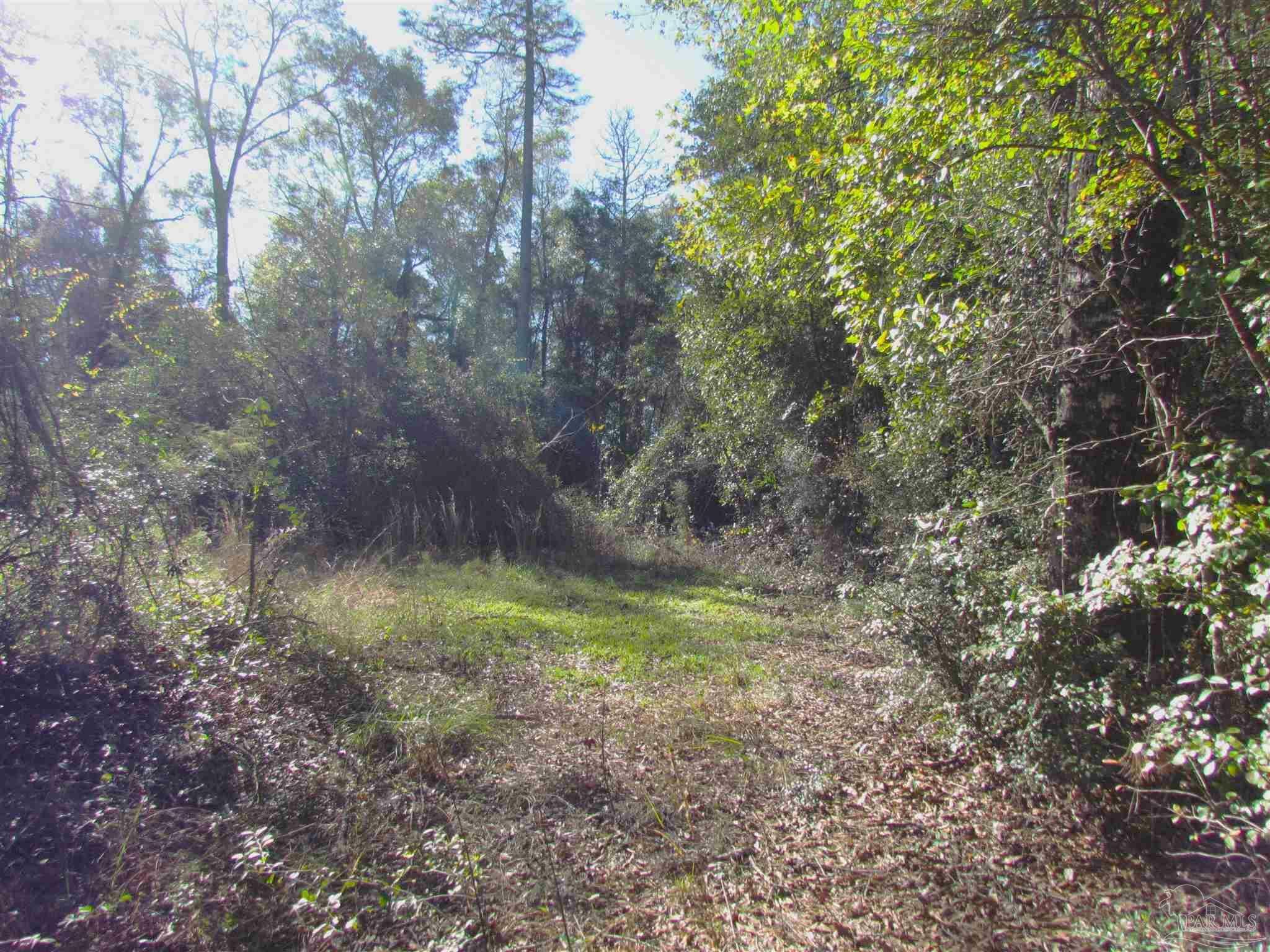 Property Photo:  000 McCall Rd  FL 32535 