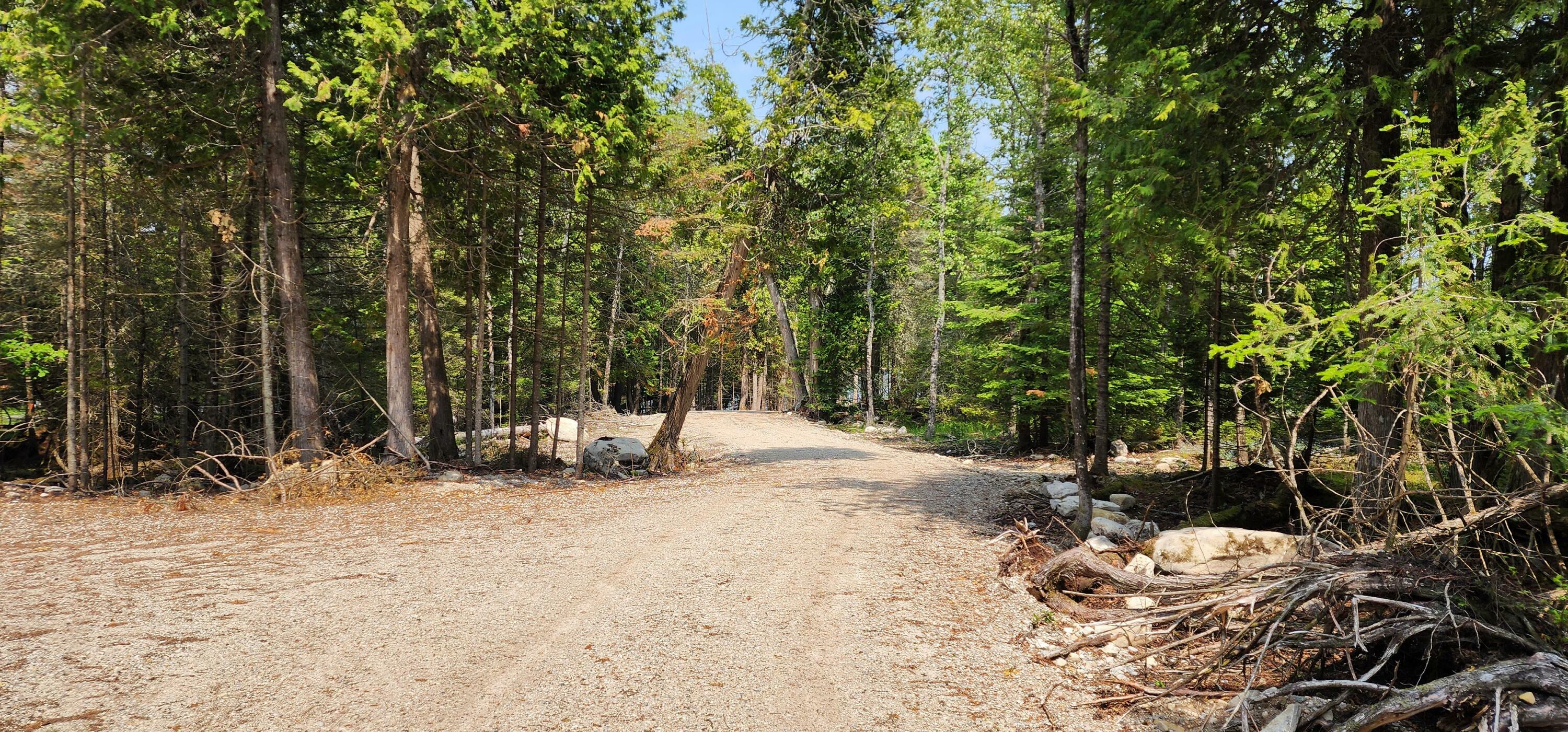 Property Photo: 1953 S Forest Ln MI 49719