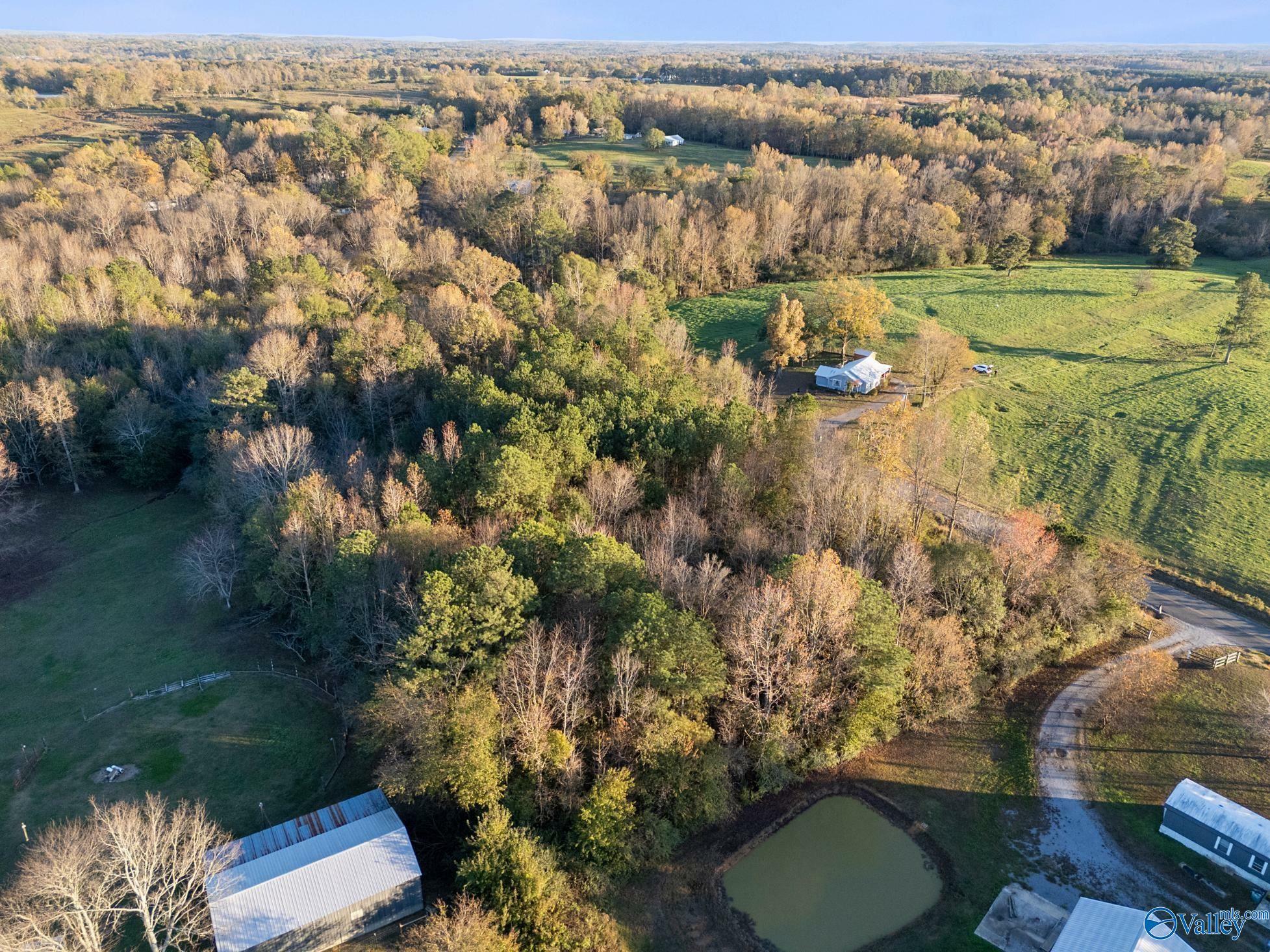 Property Photo:  693 County Road 1807  AL 35087 