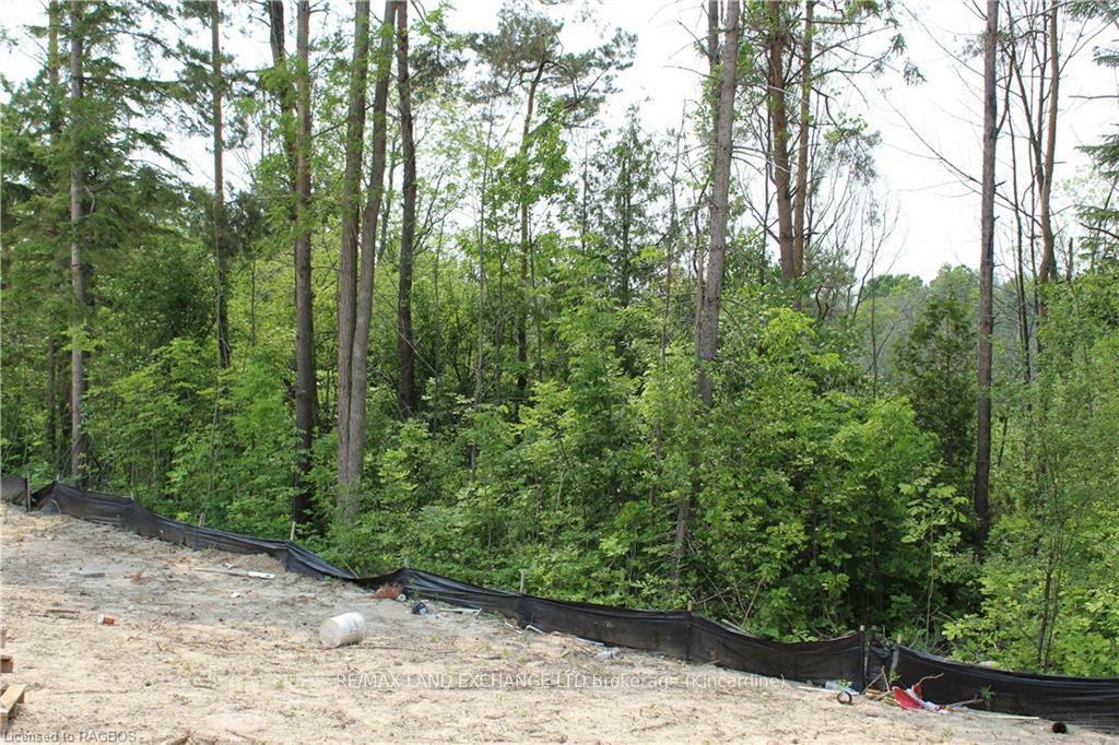 Property Photo: 772 Campbell Avenue ON N2Z 1W1