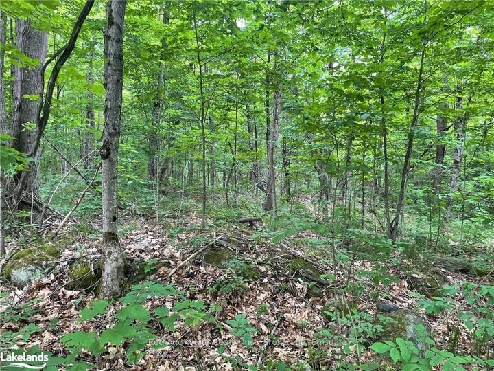 Property Photo: 23 Ahmic Lake Road ON P0A 1A0