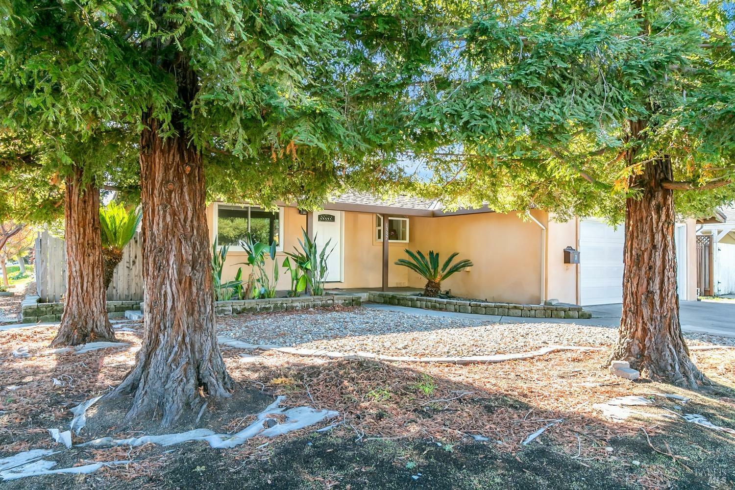 Property Photo:  1337 Woolner Avenue  CA 94533 