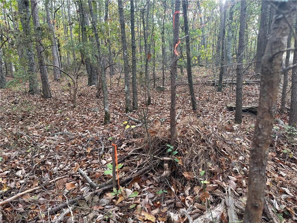 Property Photo: N/A Mulberry Circle GA 30143