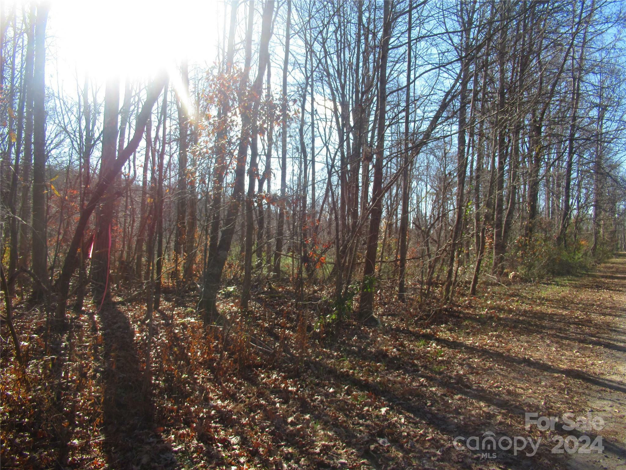 Property Photo: 101 Riverhills Lane 53 NC 28655