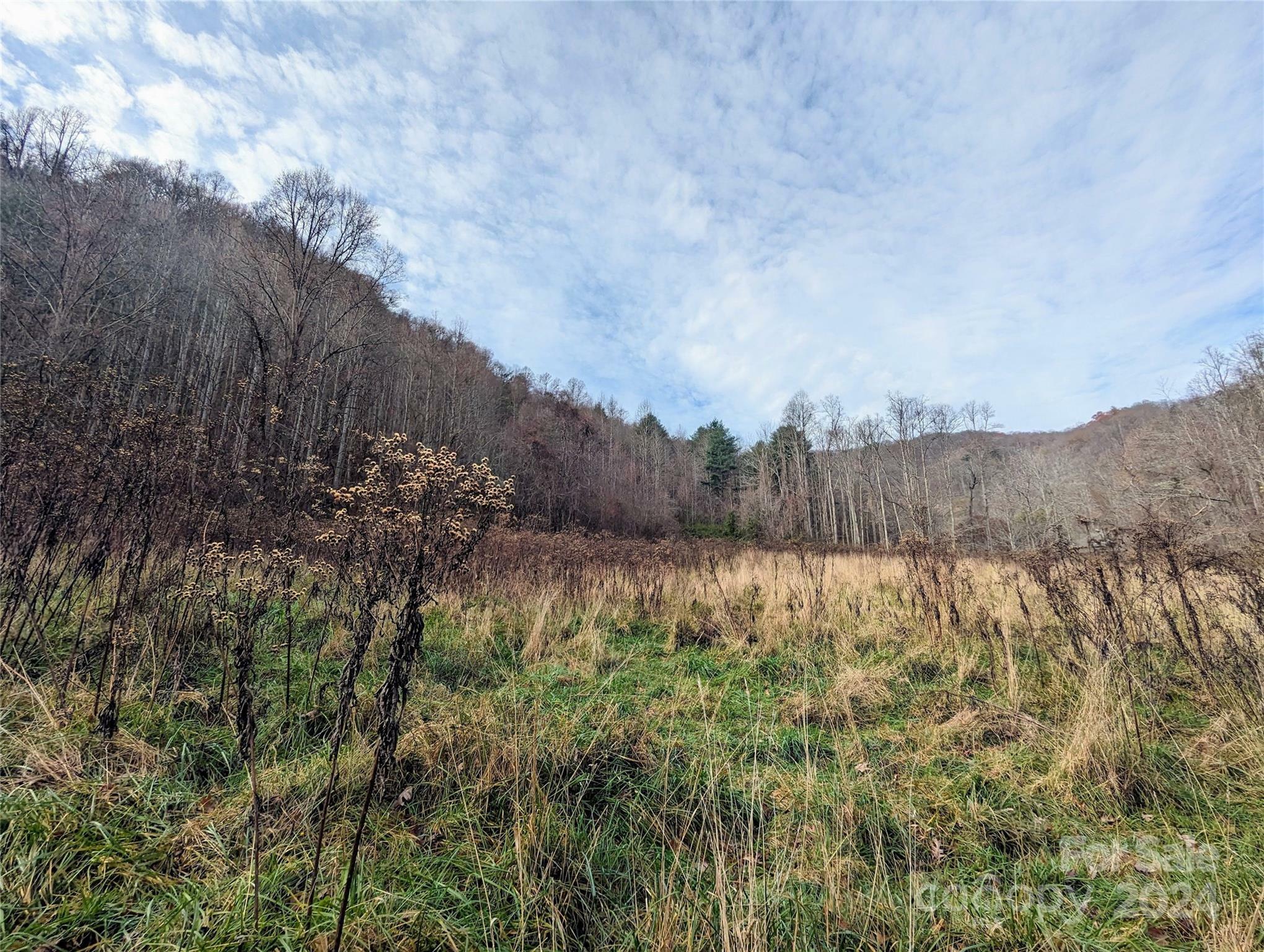 Property Photo:  99999 Upper Paw Paw Road  NC 28753 