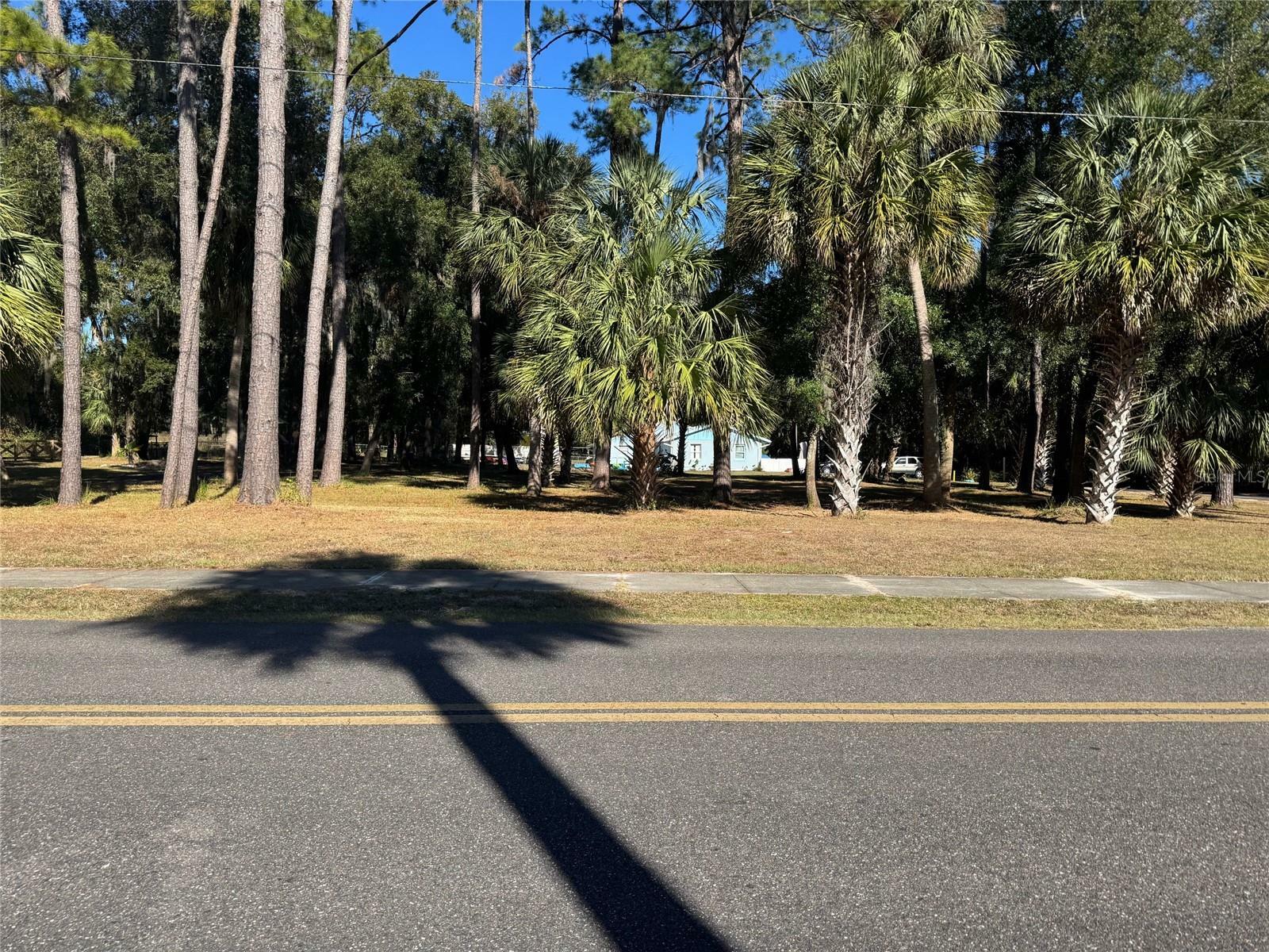 Property Photo:  Lot 3 &Amp 4 Robinson Road  FL 34431 