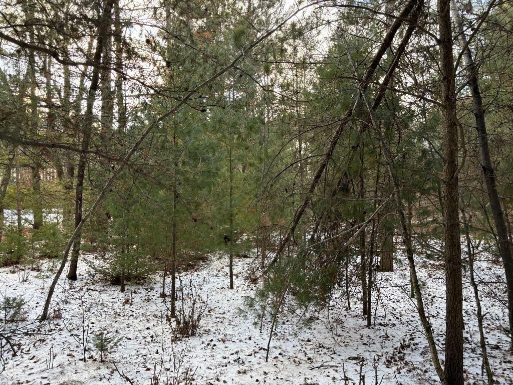 Property Photo:  .95 Acres County Road X  WI 54455 