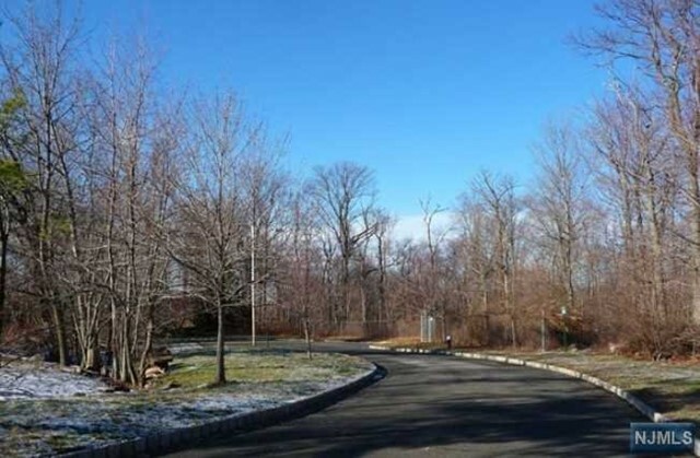 30 Tulip Tree Lane  Alpine NJ 07620 photo