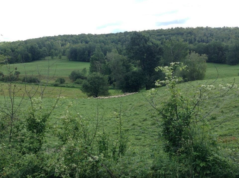Property Photo: 537-A Irish Settlement Road VT 05489